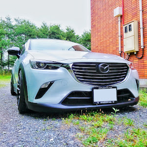 CX-3 DK5AW