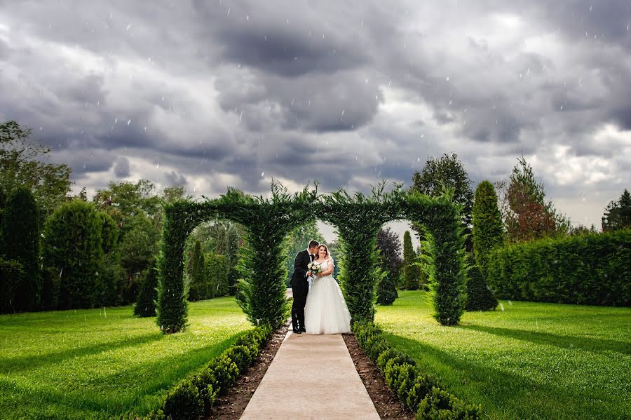 Photographe de mariage Tony Hampel (tonyhampel). Photo du 29 septembre 2022