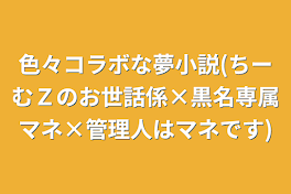 色々コラボな夢小説(ちーむＺのお世話係×黒名専属マネ×管理人はマネです)