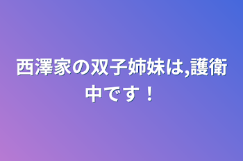 「西澤家の双子姉妹は,護衛中です！」のメインビジュアル