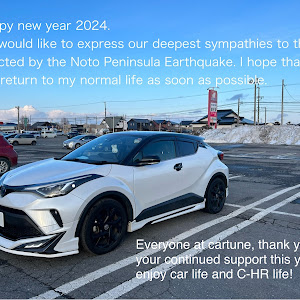 C-HR ZYX11