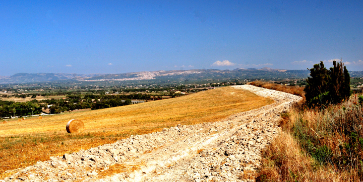 Farm Road di Luca Gallozza