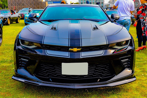 車 エンブレム ライオン 羽 Kuruma