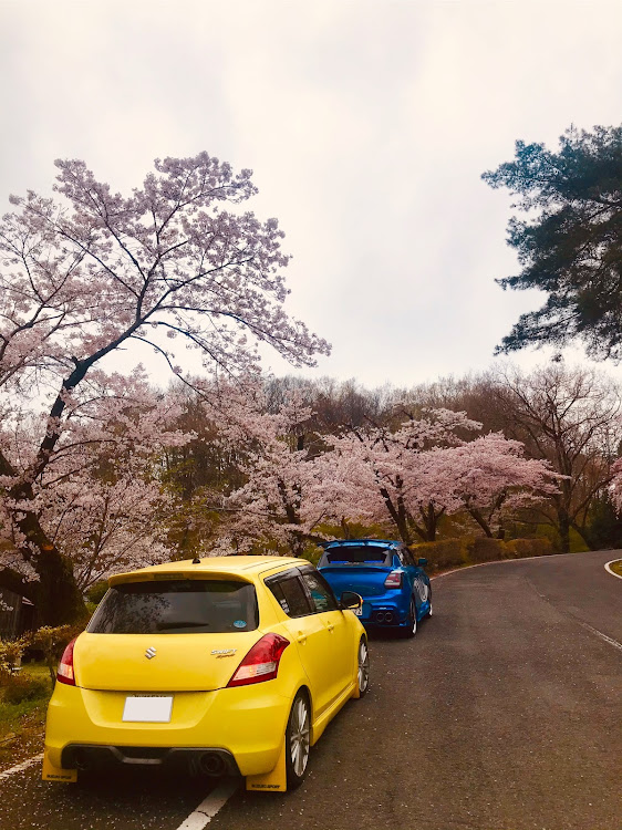 スイフトスポーツの桜とコラボ・夜桜・ずっと笑っていくよ！・タマゴ会・出逢いは一瞬に関するカスタム事例の投稿画像8枚目