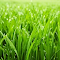 Item logo image for Touch Grass