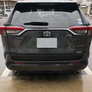 RAV4 MXAA54