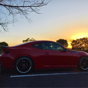 86 ZN6