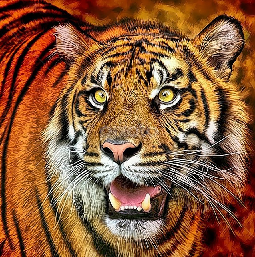 Close Up Portraits of roaring Bengal Tiger. Digital artwork Stock  Illustration