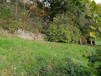 maison à Saint-Denis-des-Murs (87)