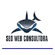 Consultor de seo freelance en barcelona