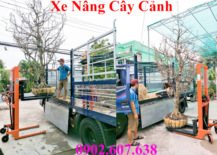 xe nâng cây cảnh chậu kiểng