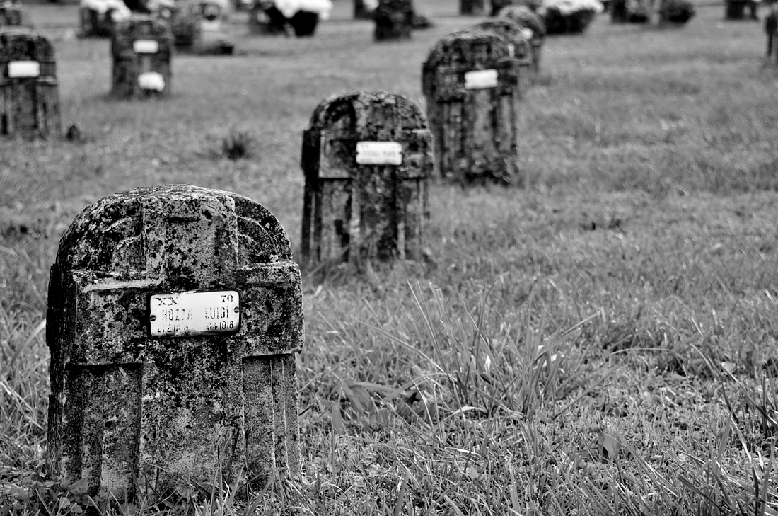 Silenzio di tomba di gigibe