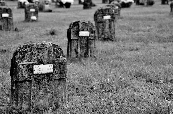 Silenzio di tomba di gigibe