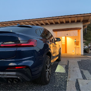 X4 xDrive 30i