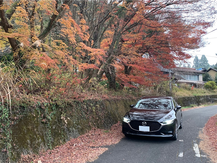 MAZDA3の見返してたら・見つけた写真・香嵐渓付近・Mazda3・愛知県に関するカスタム事例の投稿画像2枚目