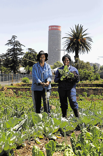 HANDS-ON HORTICULTURE: Maria Maseko and Refileo Molefe, members of the Bambanani Food and Herb Co-Op