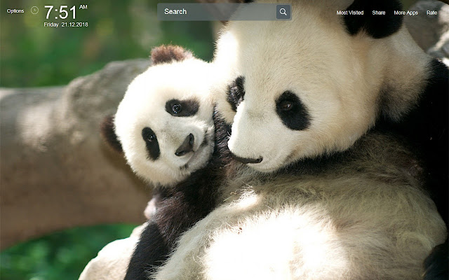 Cute Panda Wallpapers Theme New Tab