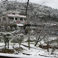 陽明山平菁街橘咖啡