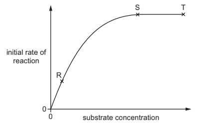 Mode of action of enzymes