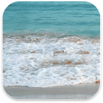 Cover Image of 下载 Real Ocean Live Wallpaper 1.0 APK