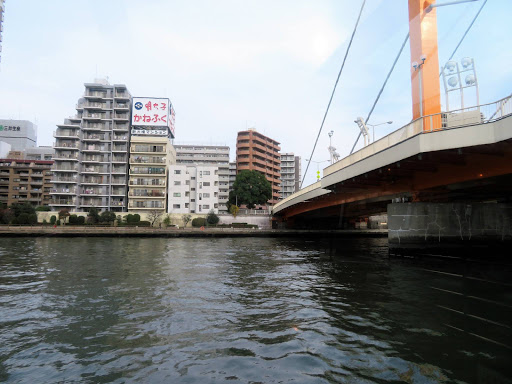 Wandering Tokyo by Land & Sea Japan 2017