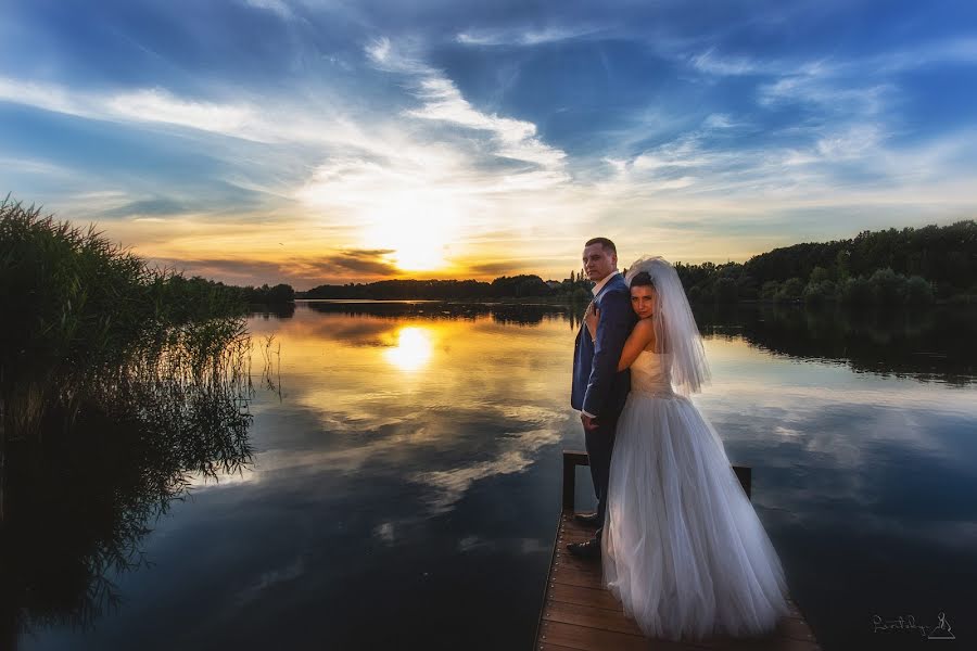 Wedding photographer Andrey Levickiy (lion78). Photo of 5 November 2015