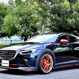 CX-3 DKEFW