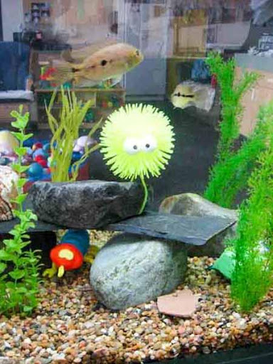 Aquarium Decoration Idea