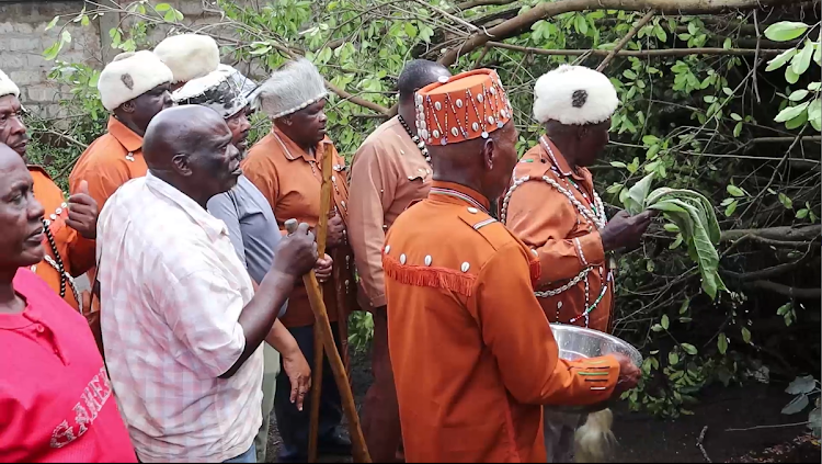 Kikuyu Council of Elders Kiama kia Ma perform rituals at the site where a Mugumo tree fell Monday evening blocking the busy Kanunga- Banana road in Kiambaa subcounty, April 15, 2024.