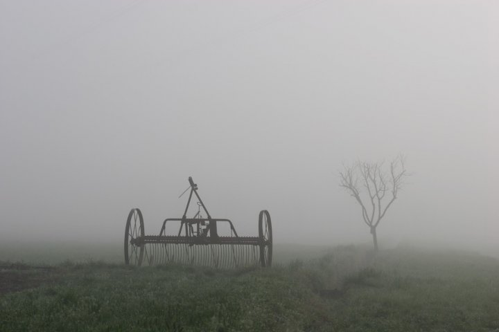 Nebbia rurale di gcmmrt