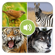 Real Animal Sounds 1.3 Icon