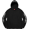 guardian hooded sweatshirt fw21