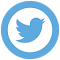 Item logo image for Last Tweet Date