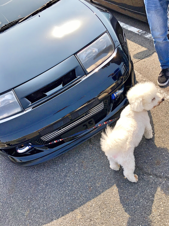 フェアレディZのオートプラネット名古屋 〜Cars&Coffee〜・ナイスガイ・来月から平成の男・高い人と低い人・オーナーご満悦に関するカスタム事例の投稿画像3枚目