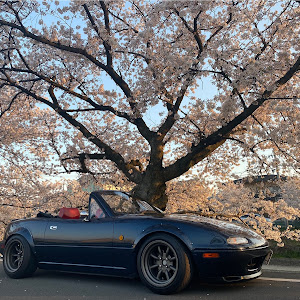 ロードスター NA8C