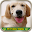 Pet Store India Download on Windows