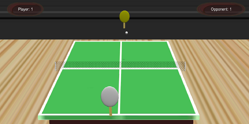 Table Tennis 3D