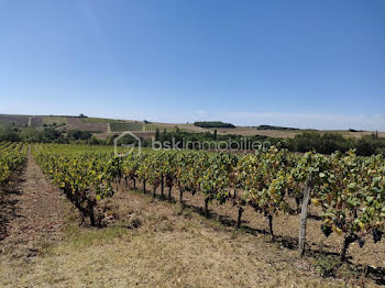 terrain à Gaillac (81)