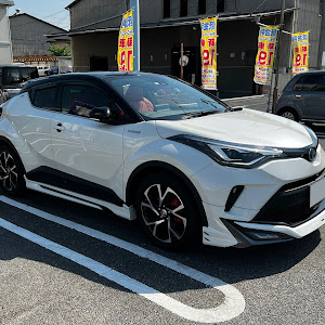 C-HR ZYX11