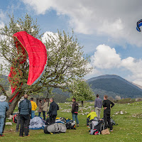 ..speriamo che non tagliano la pianta!!!!!! di 