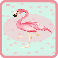 Cute Flamingo Wallpapers HD 2020