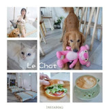 Le Chat 聊夏貓旅x咖啡