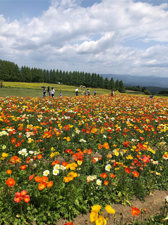ロードスターのオープンカーのある生活・ロードスターのある生活・R35・生駒高原に関するカスタム事例の投稿画像2枚目