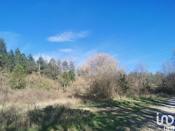 terrain à Roumoules (04)