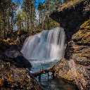 Norway Forest waterfall Landscape