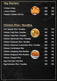 Aadhya Chinese Cuisine menu 2