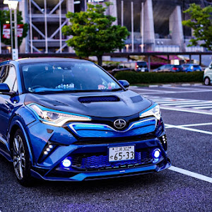 C-HR ZYX10