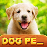 1 Pic N Words - Search & Guess Word Puzzle Game Apk