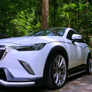 CX-3 DKEFW