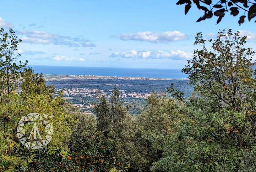  Vente Terrain à bâtir - 9 000m² à Laroque-des-Albères (66740) 